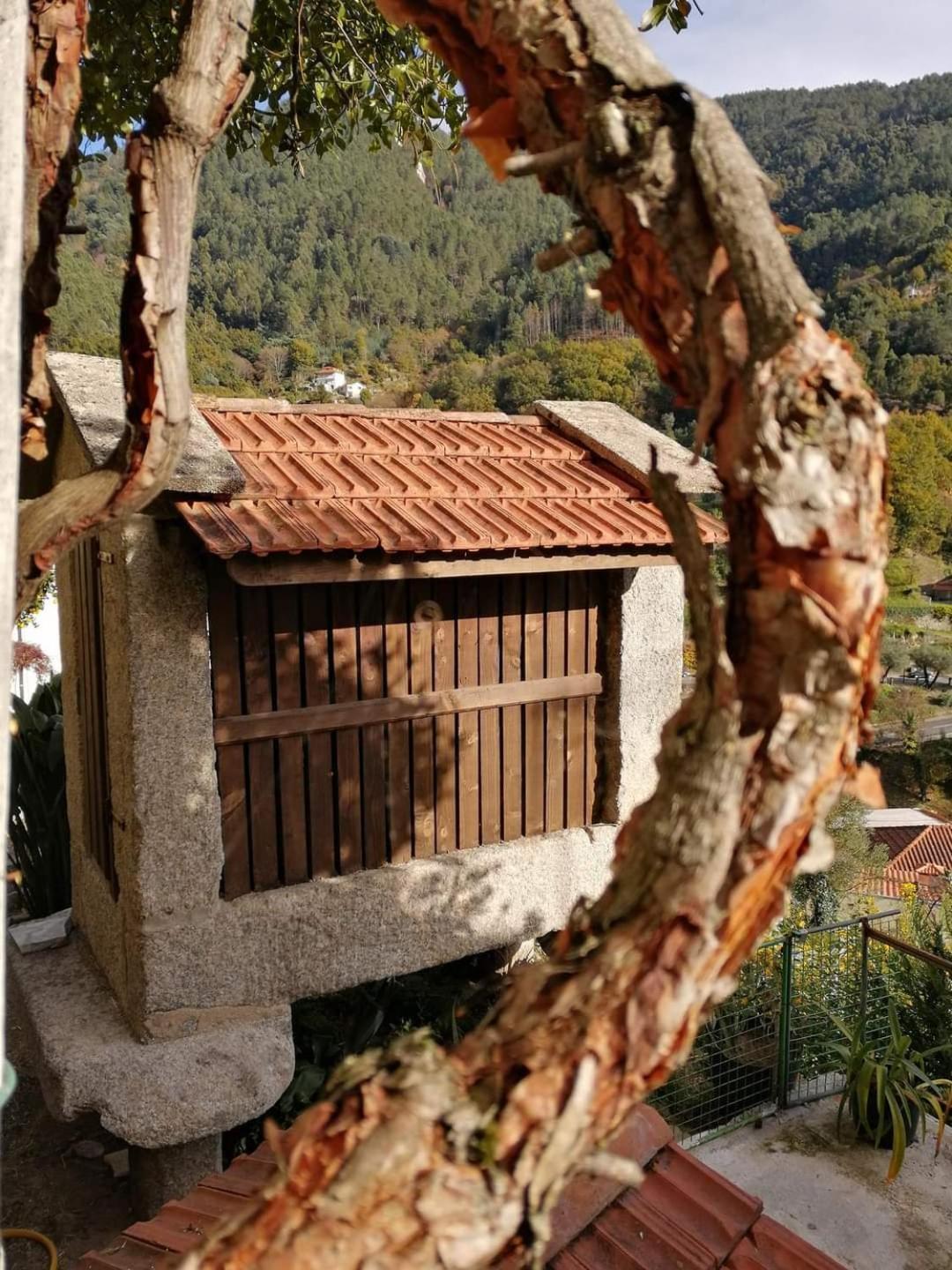 Tea House - T1 Hipericao Holiday home